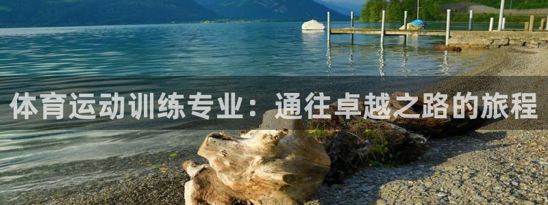 意昂4平台：体育运动训练专业：通往卓越之路的旅程