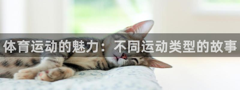 意昂官网：体育运动的魅力：不同运动类型的故事