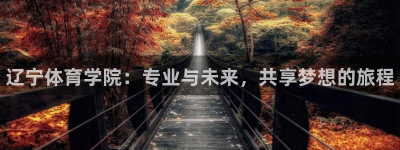 杏宇2代理注册：辽宁体育学院：专业与未来，共享梦想的旅程