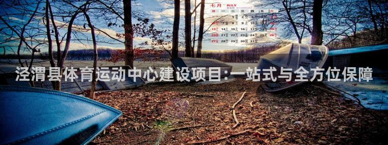 杏宇体育注册平台：泾渭县体育运动中心建设项目:一站式与全方位保障