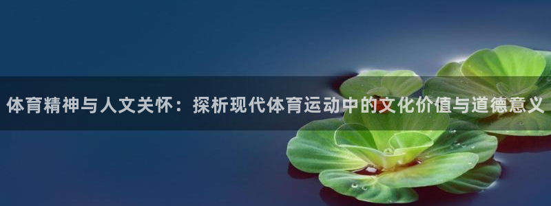 意昂4官网：体育精神与人文关怀：探析现代体育运动中的文化价值与道德意义