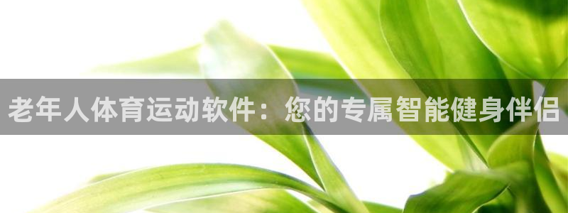 杏宇体育3：老年人体育运动软件：您的专属智能健身伴侣
