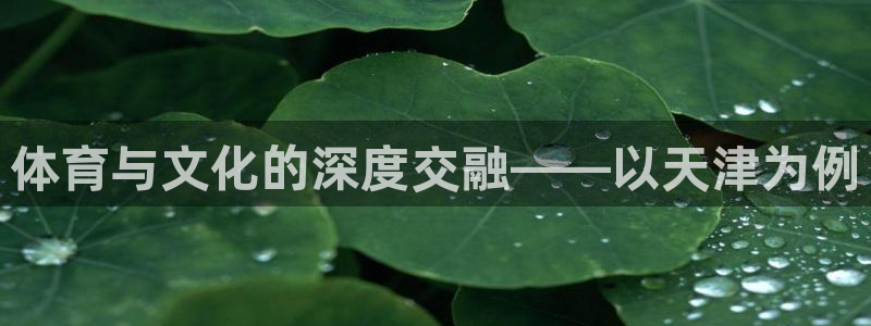杏宇4注册：体育与文化的深度交融——以天津为例