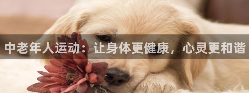 杏宇kgame：中老年人运动：让身体更健康，心灵更和谐