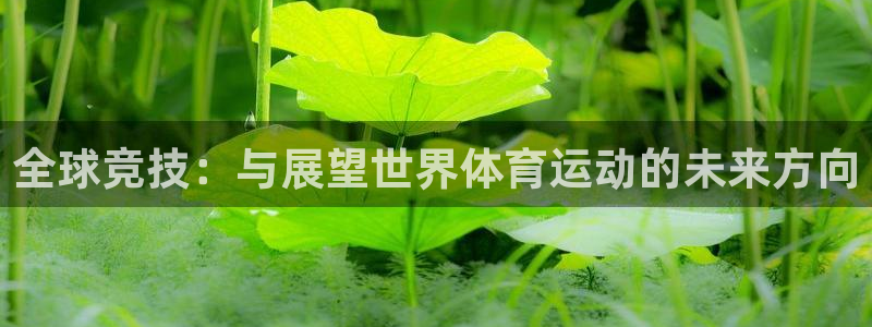 杏宇集团总部：全球竞技：与展望世界体育运动的未来方向