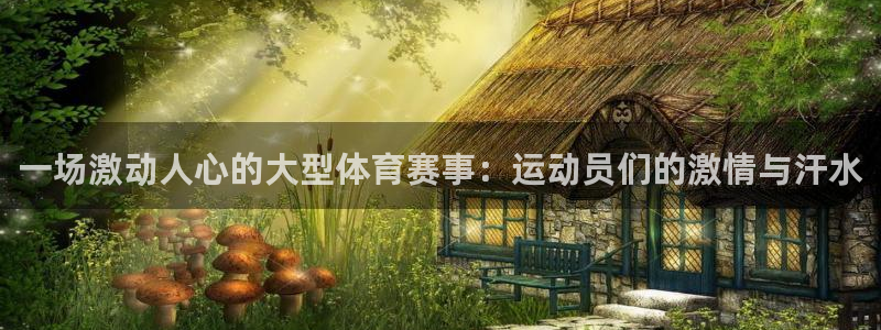 杏宇官网：一场激动人心的大型体育赛事：运动员们的激情与汗水