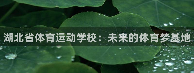 杏宇2注册：湖北省体育运动学校：未来的体育梦基地