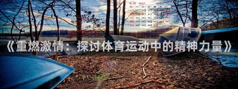 意昂4登录：《重燃激情：探讨体育运动中的精神力量》