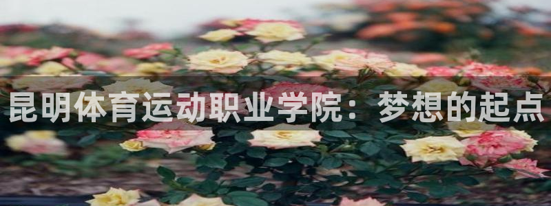 杏宇体育游戏：昆明体育运动职业学院：梦想的起点