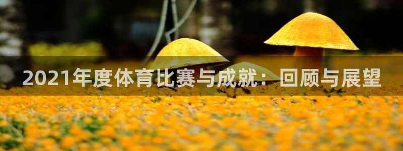 意昂3平台登录注册：2021年度体育比赛与成就：回顾与展望
