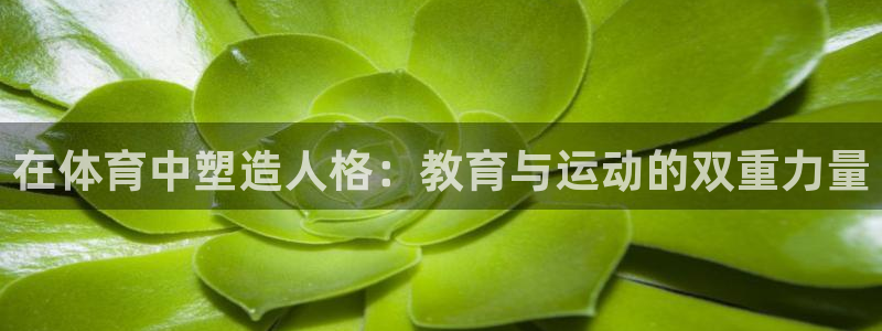 杏宇体育合法嘛：在体育中塑造人格：教育与运动的双重力量