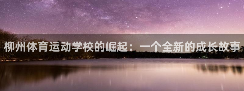 杏宇电子有限公司：柳州体育运动学校的崛起：一个全新的成长故事