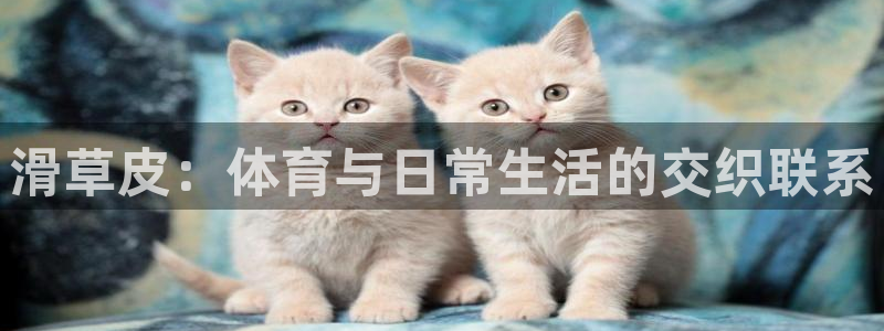 意昂体育官网登录：滑草皮：体育与日常生活的交织联系