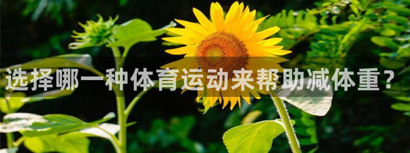意昂3登录：选择哪一种体育运动来帮助减体重？