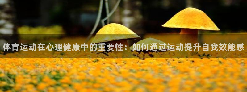 杏宇集团总部：体育运动在心理健康中的重要性：如何通过运动提升自我效能感