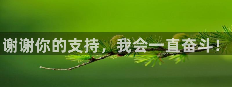 东莞市杏宇电子科技有限公司：谢谢你的支持，我会一直奋斗！