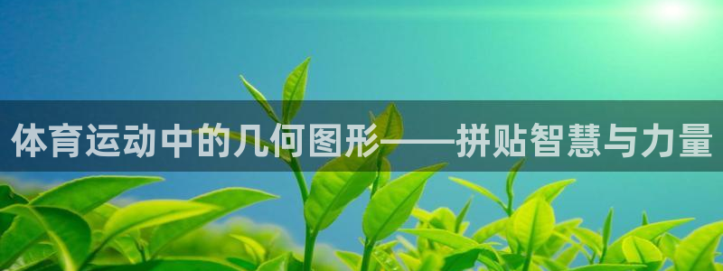 杏宇体育凯捷登陆：体育运动中的几何图形——拼贴智慧与力量