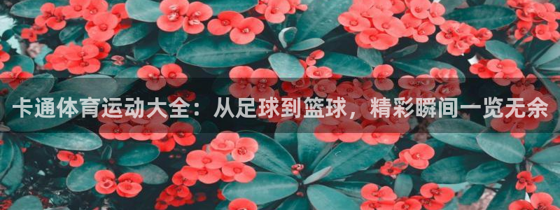 杏宇
