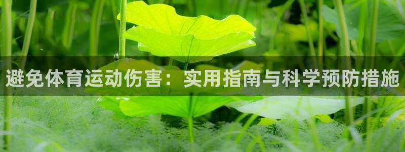 意昂3平台登录注册：避免体育运动伤害：实用指南与科学预防措施