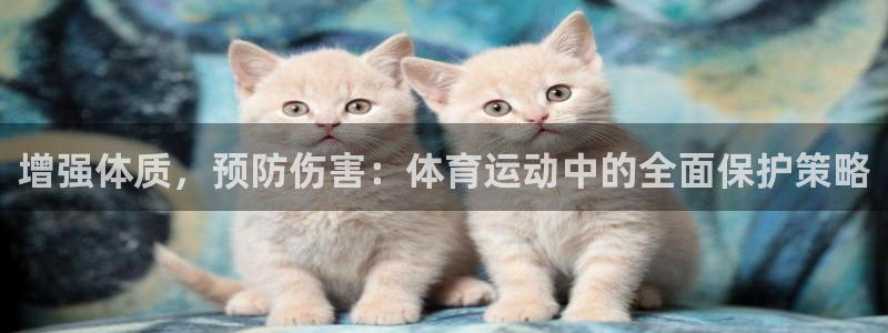 杏宇体育凯捷平台主管