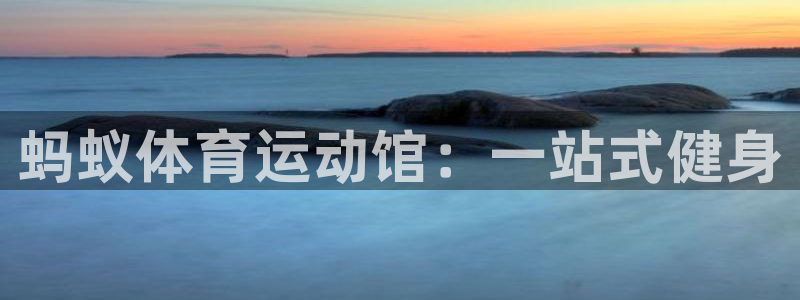 德国意昂集团：蚂蚁体育运动馆：一站式健身