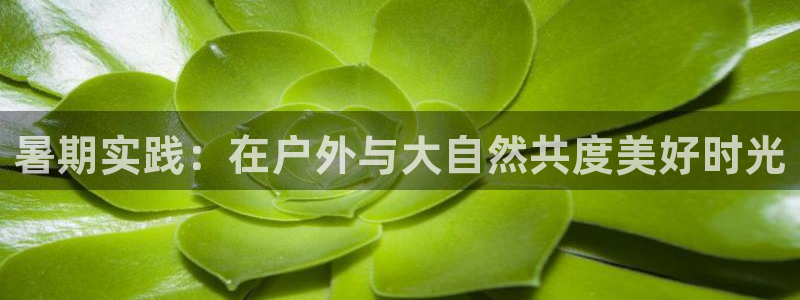 杏宇4：暑期实践：在户外与大自然共度美好时光
