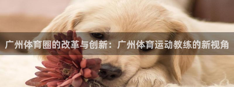 杏宇kgame：广州体育圈的改革与创新：广州体育运动教练的新视角