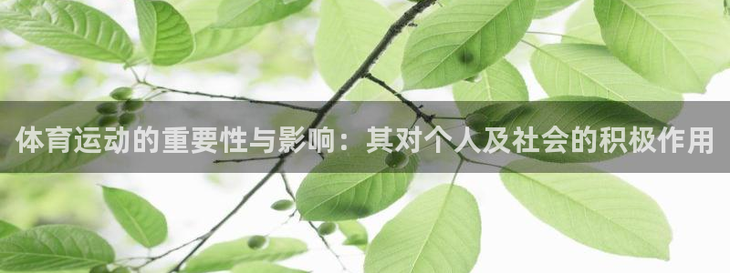 杏宇5注册：体育运动的重要性与影响：其对个人及社会的积极作用