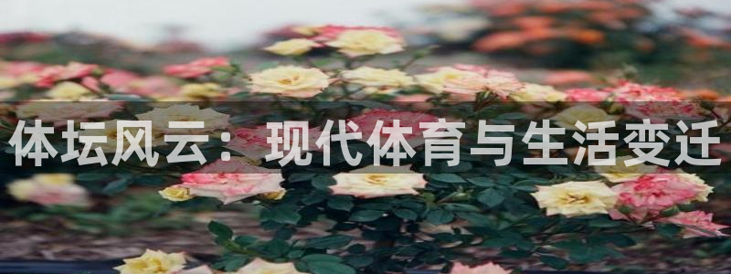 杏宇电子有限公司：体坛风云：现代体育与生活变迁