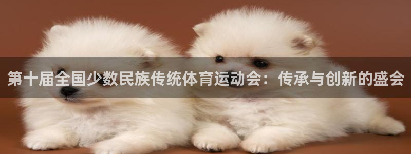 杏宇官网注册：第十届全国少数民族传统体育运动会：传承与创新的盛会