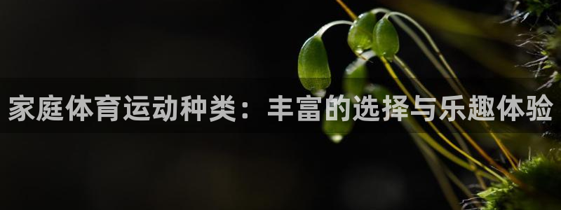 杏宇官网入口：家庭体育运动种类：丰富的选择与乐趣体验