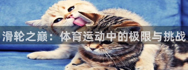 杏宇平台主管：滑轮之巅：体育运动中的极限与挑战