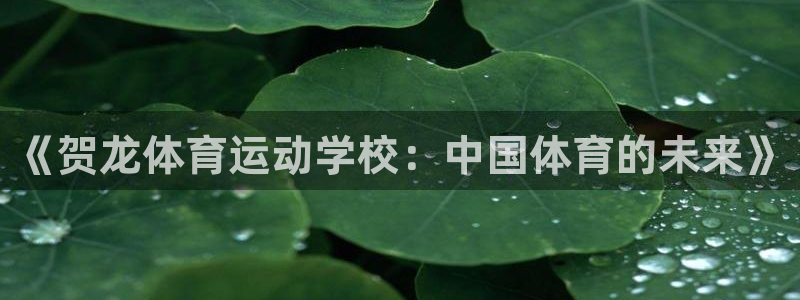 杏宇体育3：《贺龙体育运动学校：中国体育的未来》
