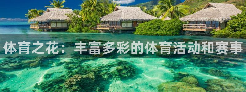 杏宇电子有限公司：体育之花：丰富多彩的体育活动和赛事