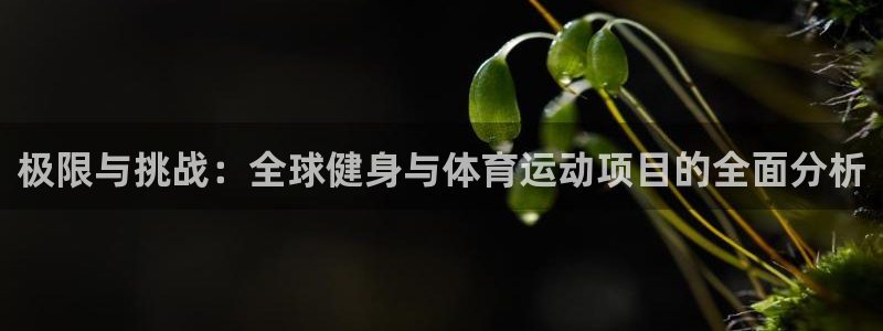意昂5：极限与挑战：全球健身与体育运动项目的全面分析